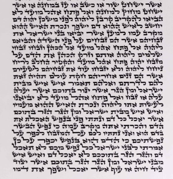 ⁦יעקב רנ ס"ת פצפון⁩ – תמונה ⁦3⁩