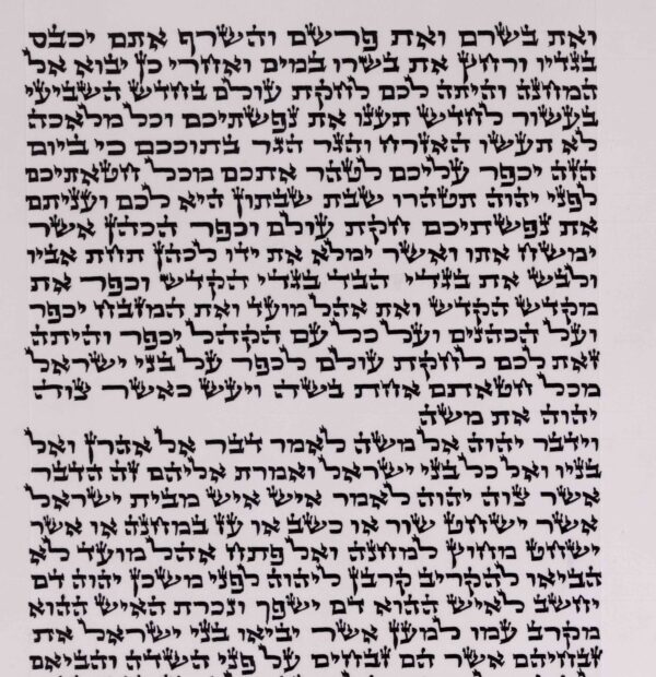 ⁦יעקב רנ ס"ת פצפון⁩ – תמונה ⁦2⁩