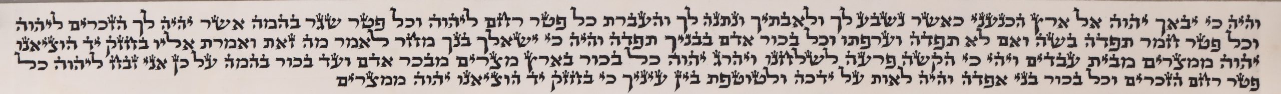 איתמר - תפארת - מרכז הסתם לסוחרים וסיטונאים