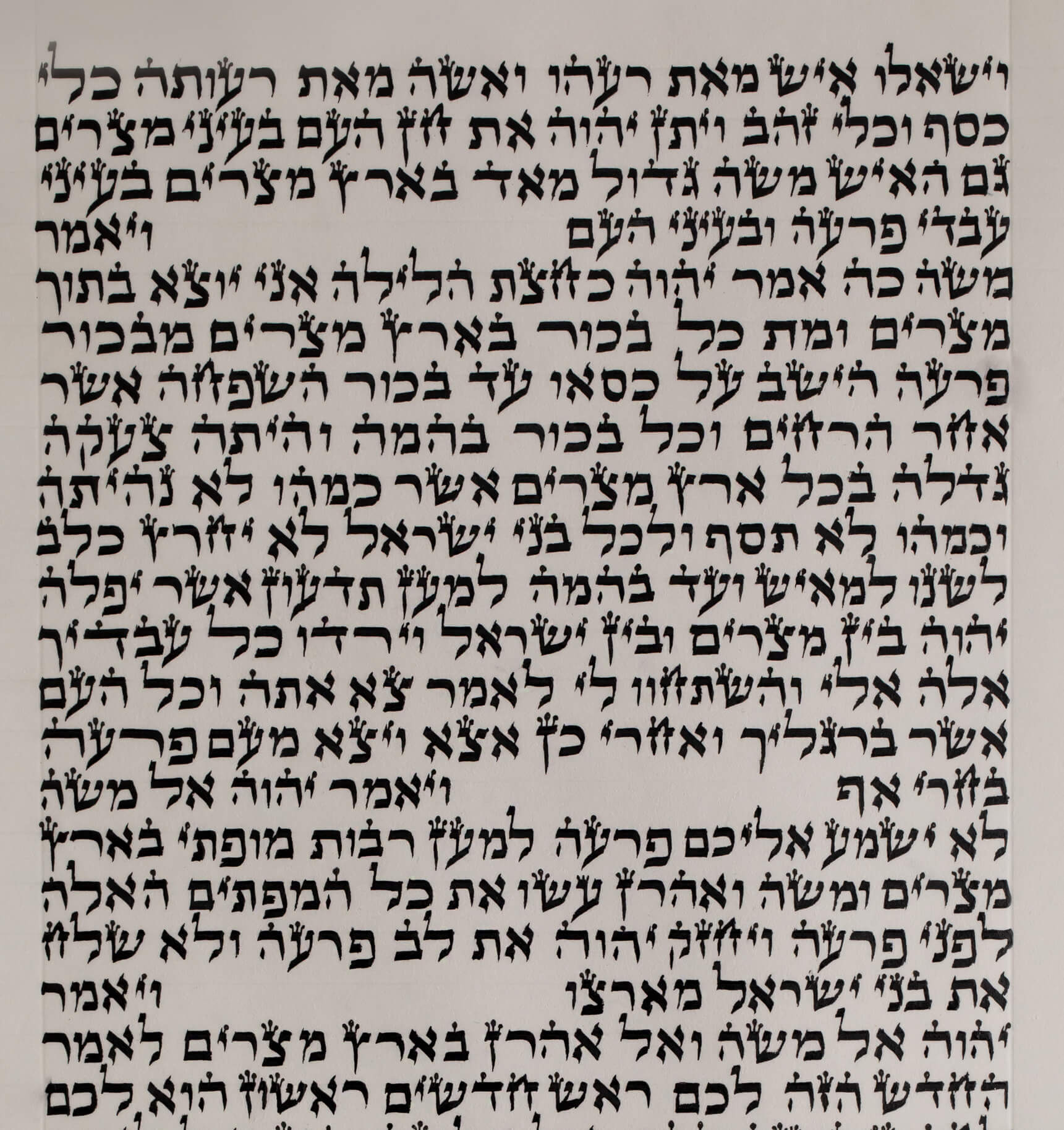 אשר - תפארת - מרכז הסתם לסוחרים וסיטונאים